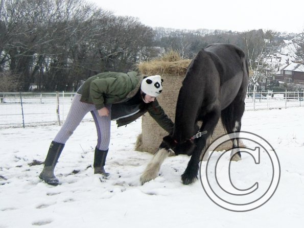 Teaching Jess to bow (10)