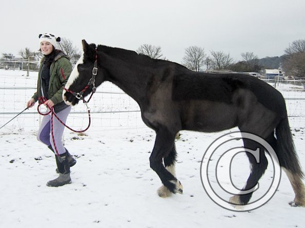 Teaching Jess to bow (5)