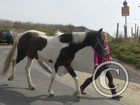 Anna and Ghost 7 April (4)