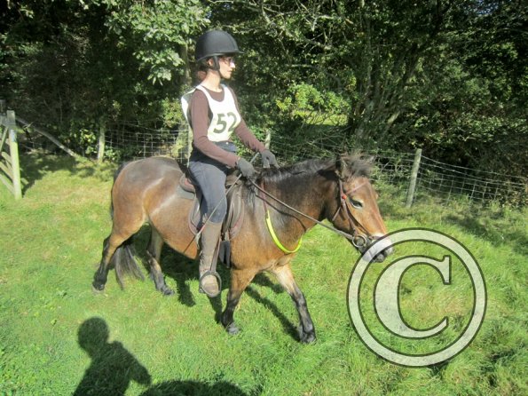 Appley and Lance charity ride (10)