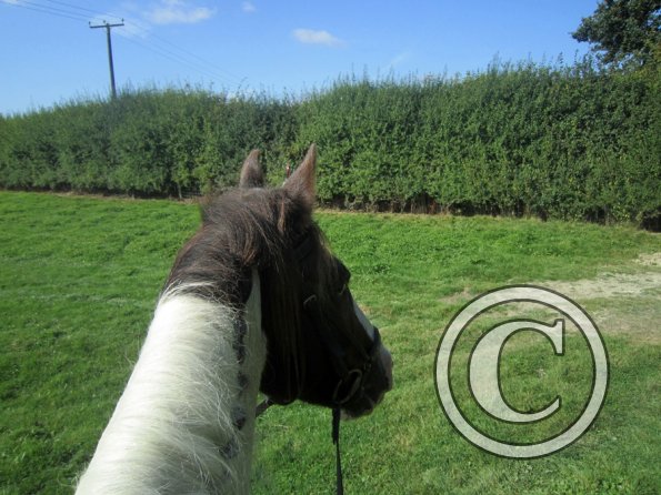 Appley and Lance charity ride (14)