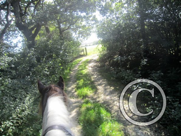 Appley and Lance charity ride (2)