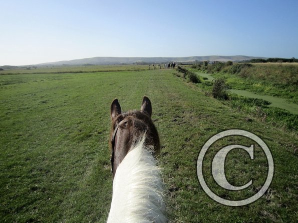 Appley and Lance charity ride (4)