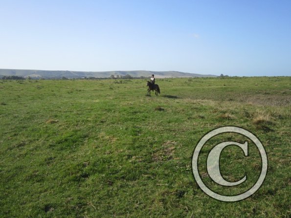 Appley and Lance charity ride (5)