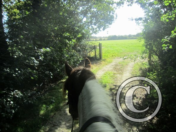 Appley and Lance charity ride (6)