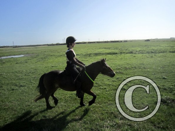 Appley and Lance charity ride (8)