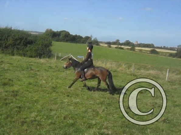 Appley trotting along (2)