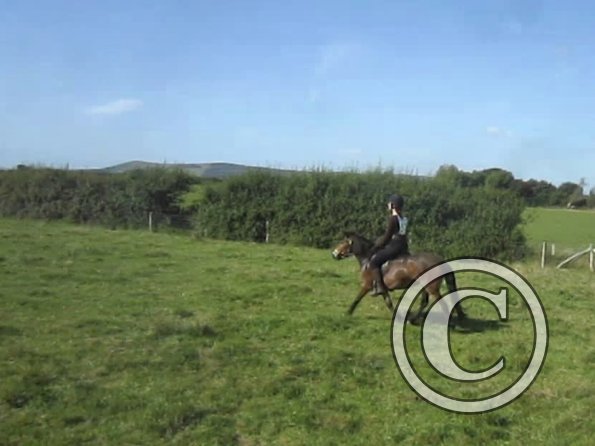 Appley trotting along