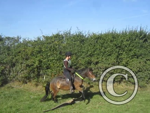 Julia and Appley jump (2)