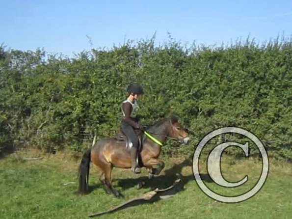 Julia and Appley jump (3)