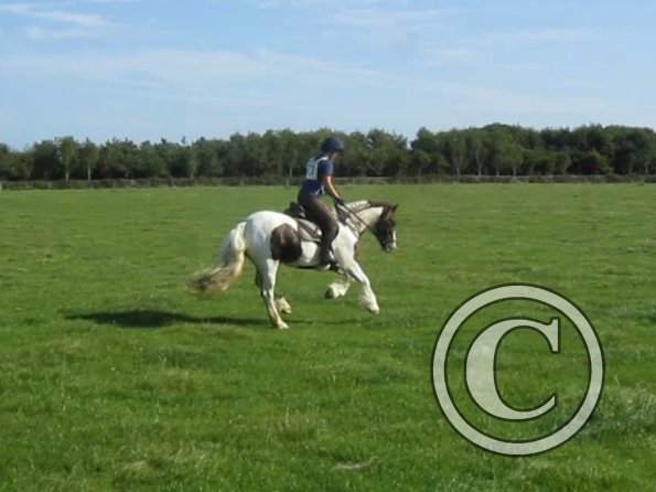 Lance canter (2)