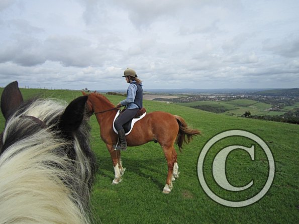 Claire and Icarus (5)