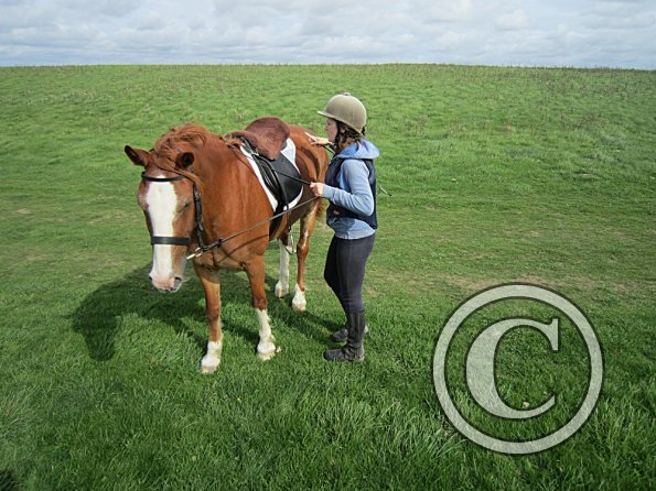 Claire and Icarus (6)