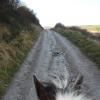 Up toward the gallops