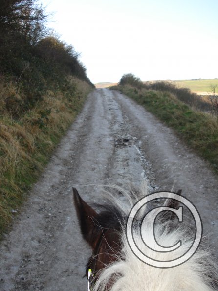 Up toward the gallops
