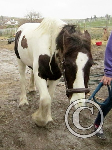 Leaving the yard (2)