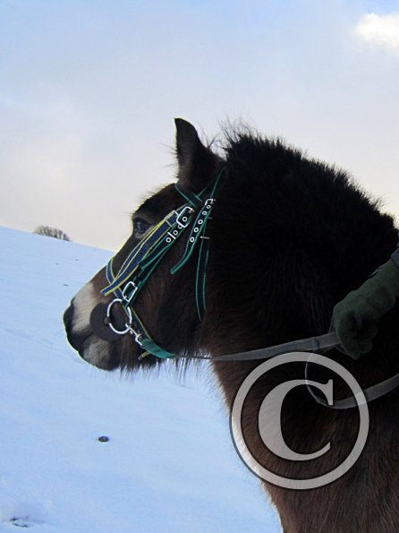 Julia and Appley (2)