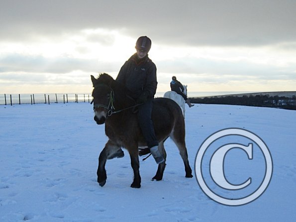 Julia and Appley (5)