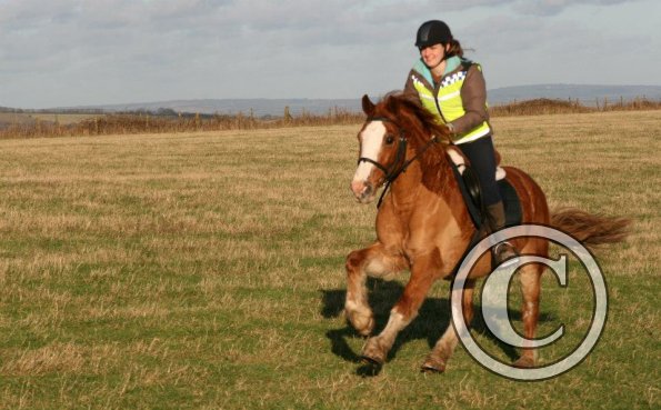 Claire and Icarus byJess (2)