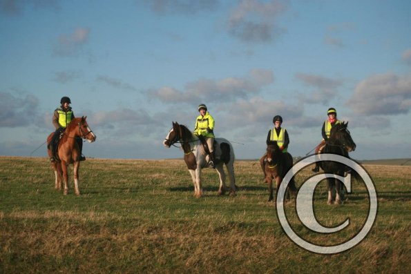 The whole group byJess