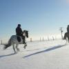 Cantering in the snow (2)