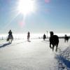 Cantering in the snow (4)