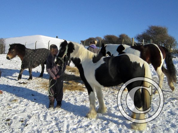 Exploring the big field (3)