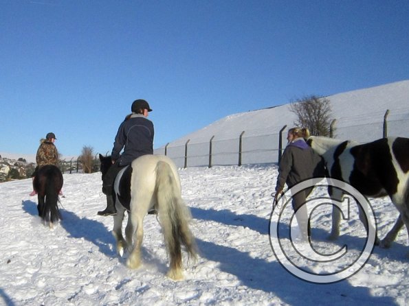 Exploring the big field (4)