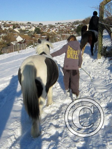 Exploring the big field (5)