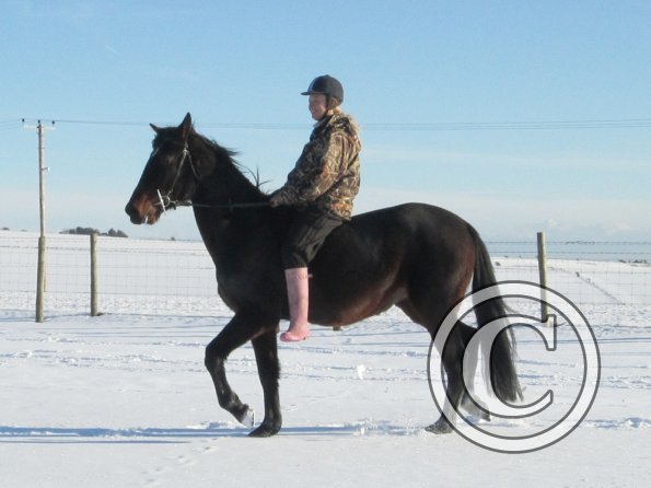 Exploring the big field (6)