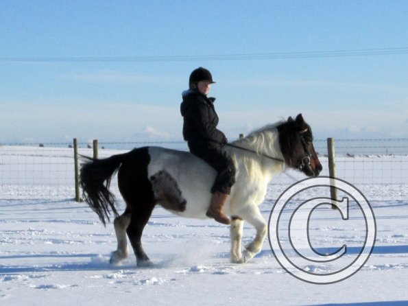 Exploring the big field (7)