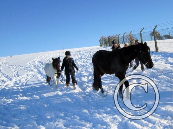 Exploring the big field (8)