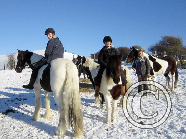 Exploring the big field