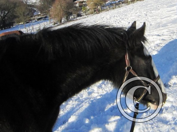 Jessie snow dunes (2)