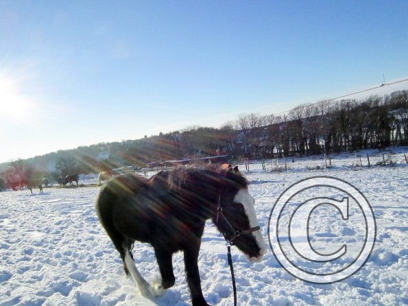 Jessie snow dunes (3)