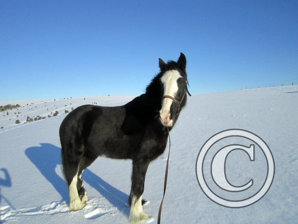 Jessie snow dunes (4)