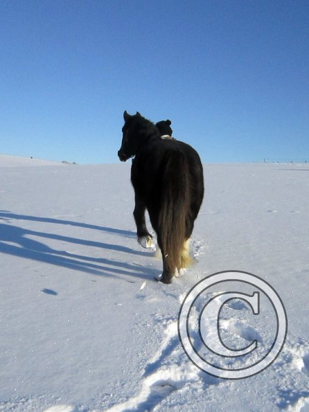 Jessie snow dunes (5)