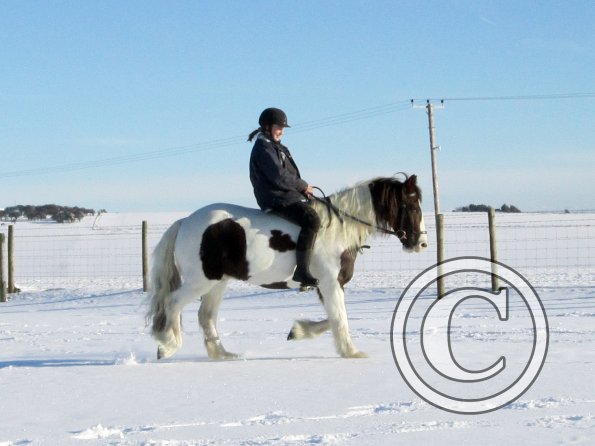 Lance up the field (2)