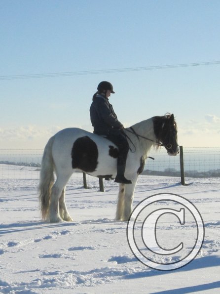 Lance up the field (3)