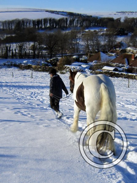Lance up the field (5)