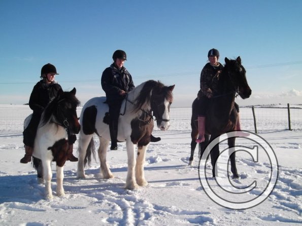 Posing in the snow 3