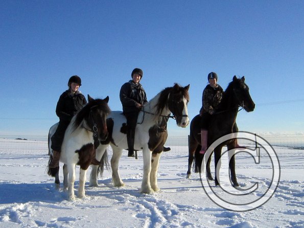 Three musketeers (2)