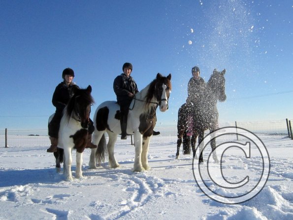 Three musketeers (3)