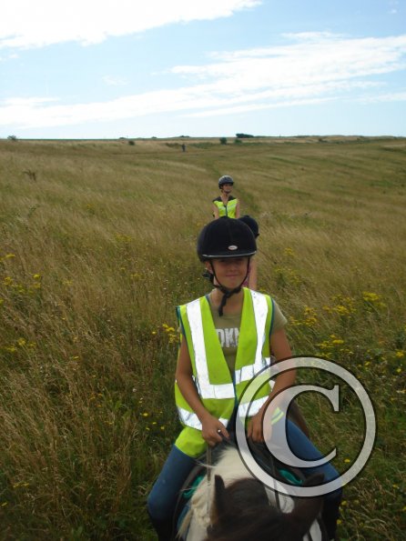 Down into sheepcoat valley Lily