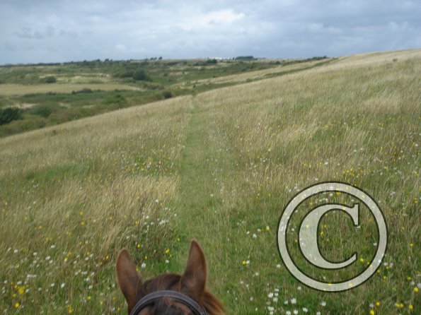 Down into sheepcoat valley