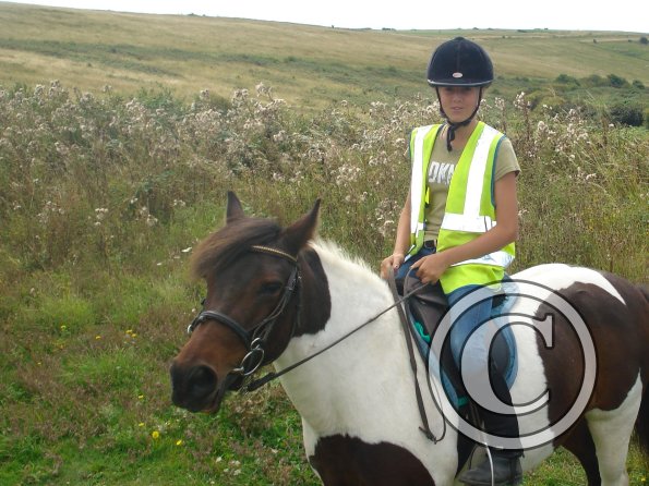 Lily in sheepcoat valley