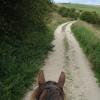 Sandy lane ears 3