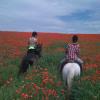 Riding into the poppies