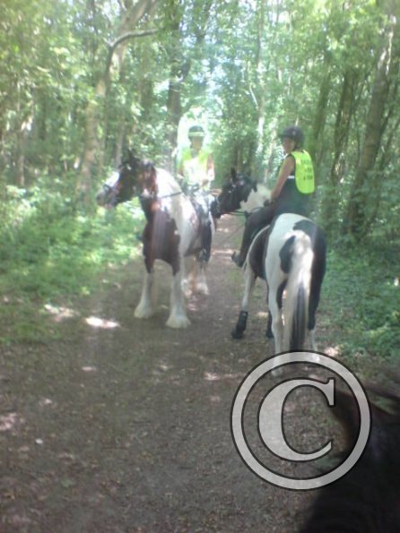 Anna &amp; Polly in the woods