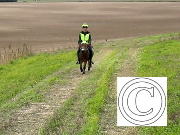 vlcsnap-2010-10-15-18h08m54s90